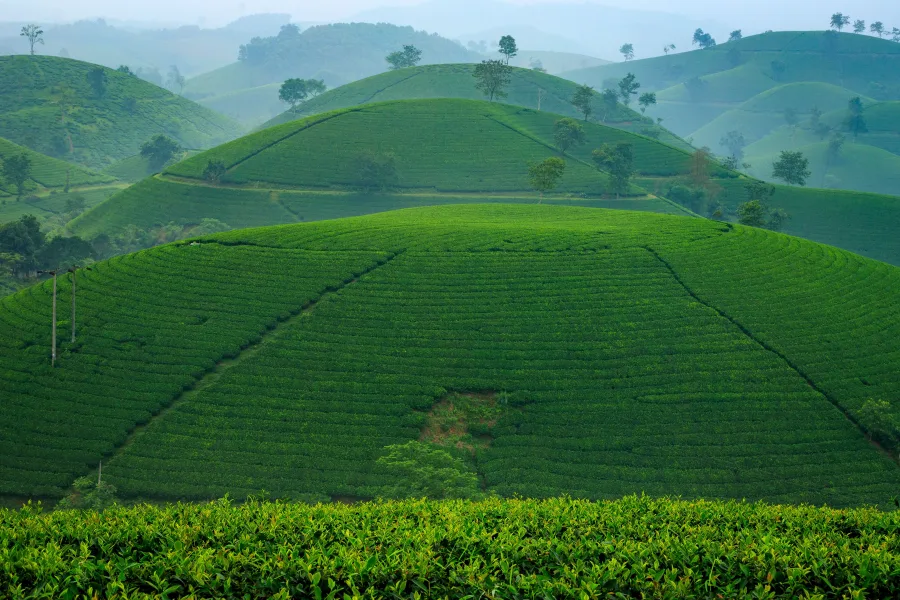 Sylhet division